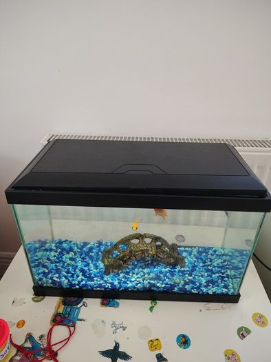 15Litre Fish tank