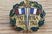 Rare WW1 French "pro Patria" (sweetheart/patriotic) Commemorative Pin
