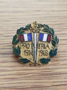 Rare WW1 French "pro Patria" (sweetheart/patriotic) Commemorative Pin