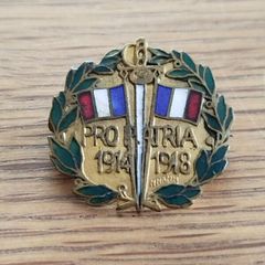 Rare WW1 French "pro Patria" (sweetheart/patriotic) Commemorative Pin