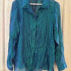 Oliver Bonas Iridescent Shirt. Size 12