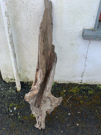 Substantial Collection of Old Bog Oak. Delivery by van can be arranged.