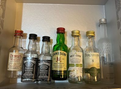 Hennessy Cognac Gin vodka whiskey empty mini Bottle Hennessy Cognac absolut vodka belveder gin Bombay whiskey Jack Daniels belveder paddy powers Jameson bacardi jagermeister Empty Bottles