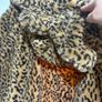 Leopard print jacket with built in scarf Image 4