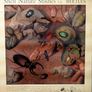 Vintage 1950's Shell Nature Study Beetles poster Image 2