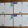 Saint Patrick's Day 2000 Postcards Brand New Image 6