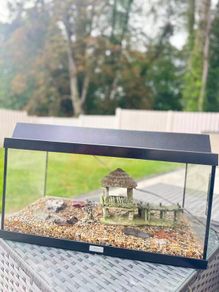 Aquarium / Fish Tank Set for Sale