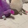 Squishmallow Teddies Image 2