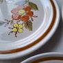 Vintage Mountain Wood Collection Stoneware Plates Set of 4 Japan Image 4