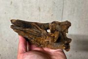 Aquarium Driftwood Size Nano
