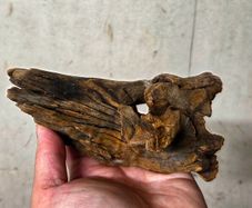 Aquarium Driftwood Size Nano