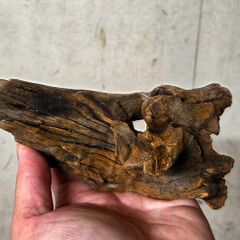 Aquarium Driftwood Size Nano