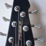 Peavey Fury 6 String Bass Image 5