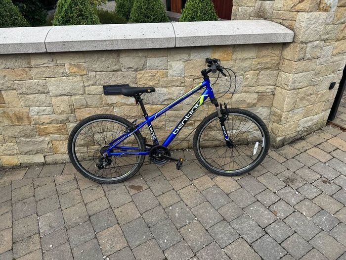 1 adult bike