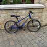 1 adult bike Image 2