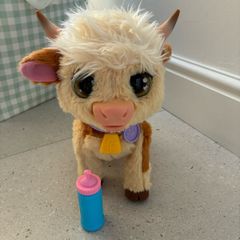 Talking cow