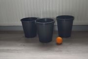 New buckets 5 each