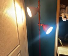 Floor lamp with adjustable lights