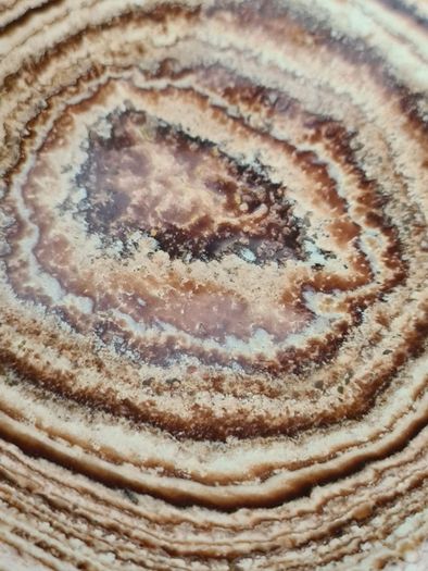 Natural Aragonite Stone Charging Plate  Polished Crystal, Display Slab, Unique Home Decor