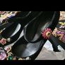 Original Dolce and Gabbana Shoes Image 3