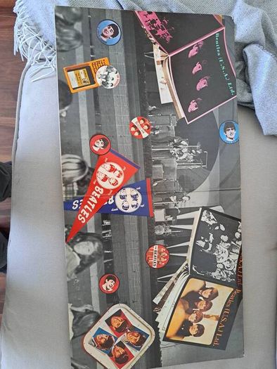 The beatles vinyl album