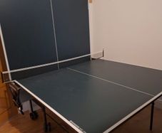 Table Tennis Table