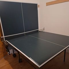 Table Tennis Table