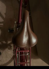 Pendleton ladies bike