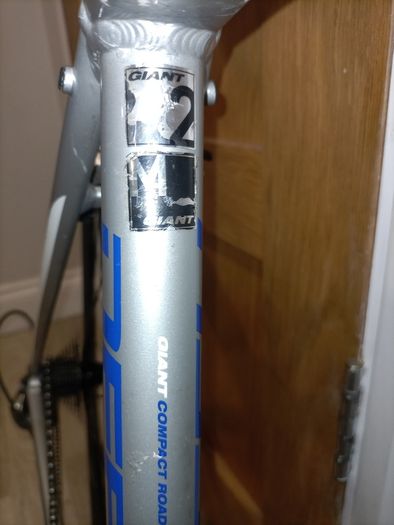 Giant defy