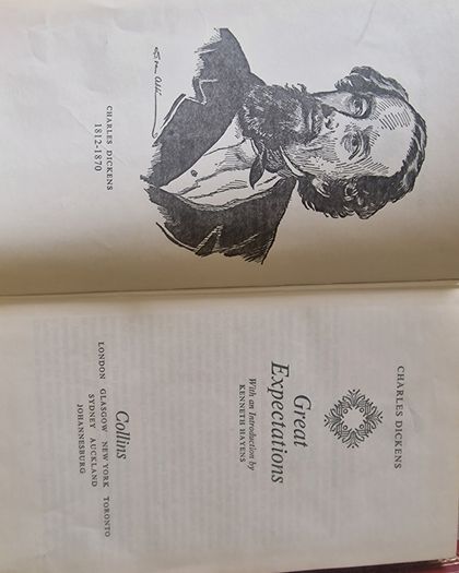 Vintage Charles Dickens books 6