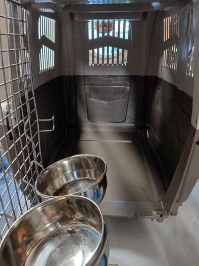dog travel crate