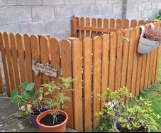Dog enclosure