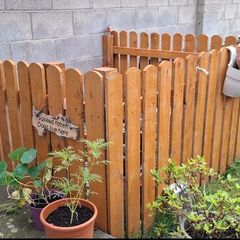 Dog enclosure