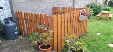 Dog enclosure