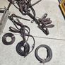 horse harness Image 4