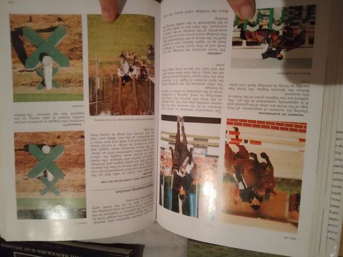 Horse / Equestrian Books