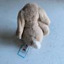 Jellycat Blossom Beige Bunny (With Tags & Official Dust Bag) Rare / Retired Floral Print Image 2