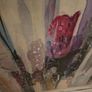 picture Image 2