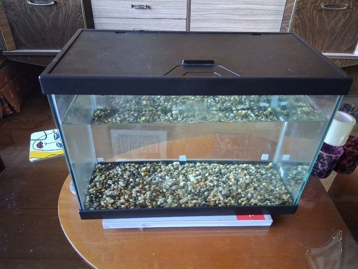 fish tank