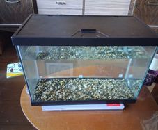 fish tank