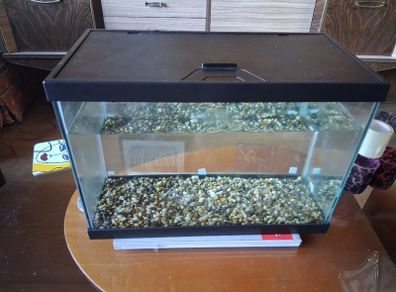 fish tank