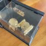 Star Wars Gold plated models Image 2