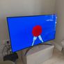 Lg 55 Oled Tv Image 4