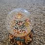 Snowglobes Image 7