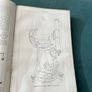 Antique Circle of the Sciences Encyclopaedia Image 10