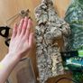reptile accessories Image 8