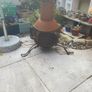 chimnea Image 2