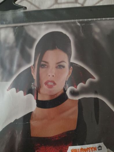 Halloween costume