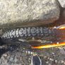 Childrens 20" Bentini Storm Mountain Bike Image 4