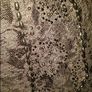 Wallis black lace midi dress size UK8 EU36 Postage inluded Image 7